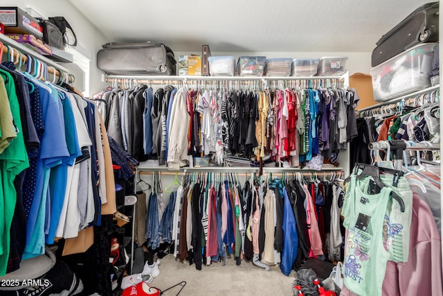 spacious closet with carpet flooring