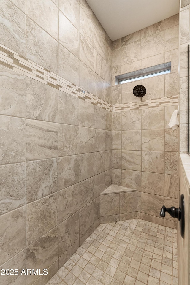 31207 N 124th Dr, Peoria, AZ 85383 - full bath featuring a tile shower