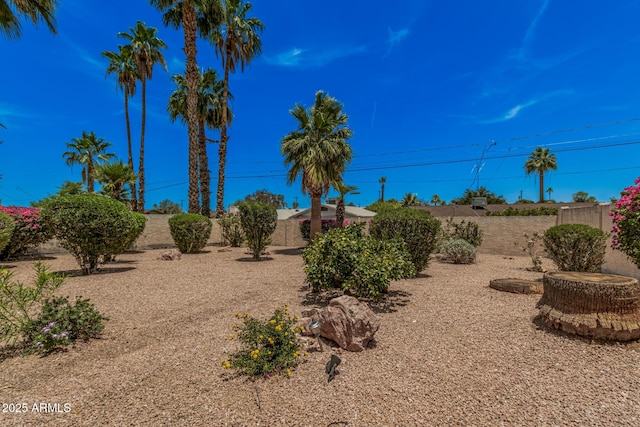 1549 N La Rosa Dr, Tempe, AZ 85288 - view of fenced backyard