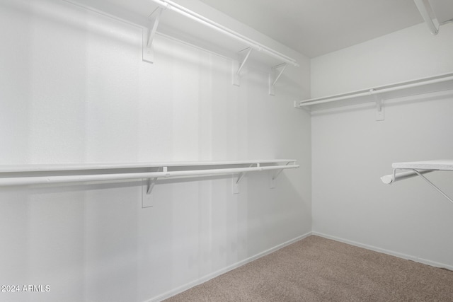 spacious closet featuring carpet