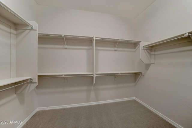 spacious closet with carpet floors