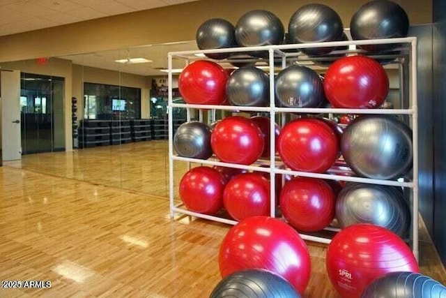 workout room featuring wood-type flooring