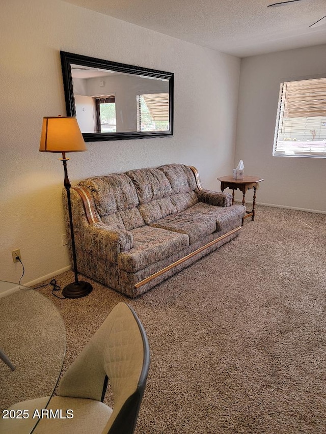 311 E Lancaster Ct, Florence, AZ 85132 - carpeted living area with a textured ceiling and baseboards