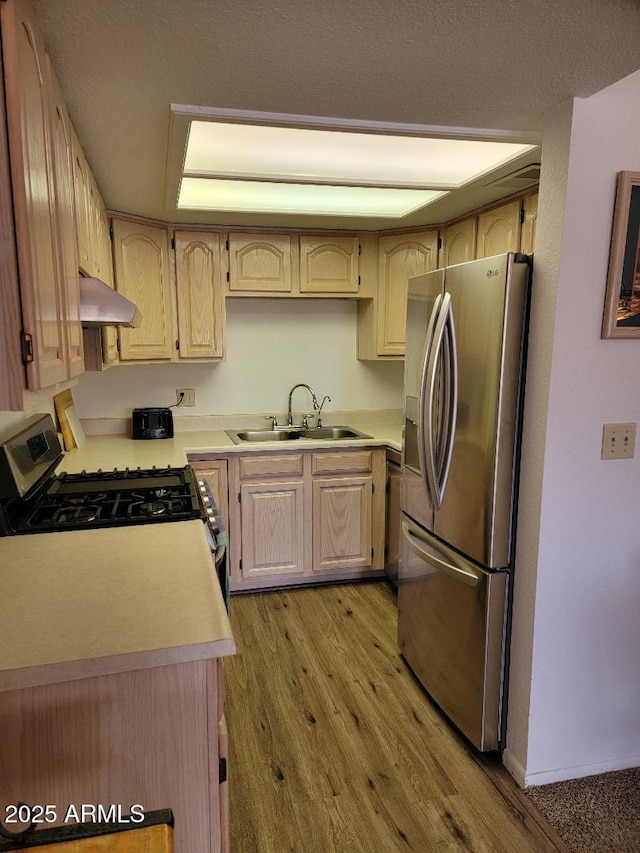 311 E Lancaster Ct, Florence, AZ 85132 - kitchen with appliances with stainless steel finishes, light countertops, extractor fan, and a sink