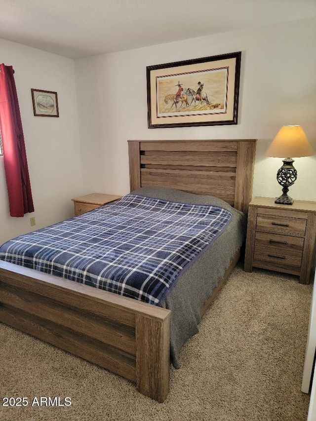311 E Lancaster Ct, Florence, AZ 85132 - view of carpeted bedroom