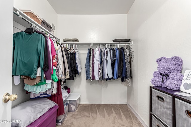 walk in closet featuring carpet floors