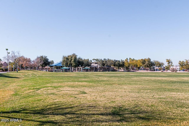 view of community with a yard