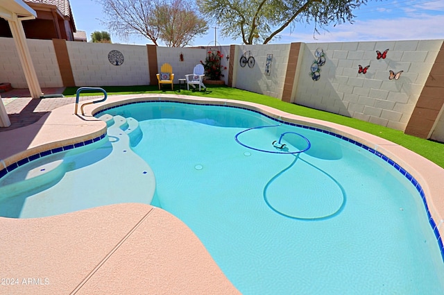 view of swimming pool with a patio