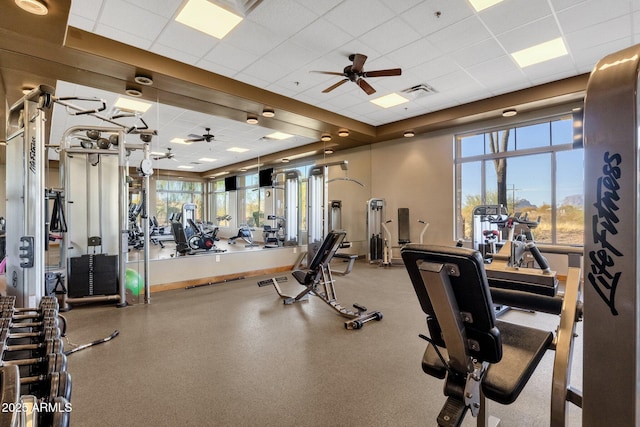 workout area with a paneled ceiling, ceiling fan, visible vents, and a wealth of natural light