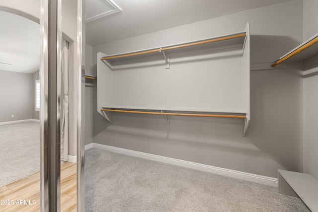 spacious closet with carpet flooring