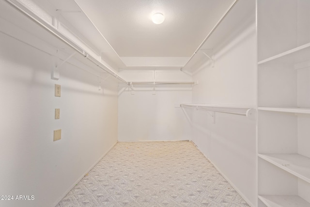 walk in closet featuring light colored carpet