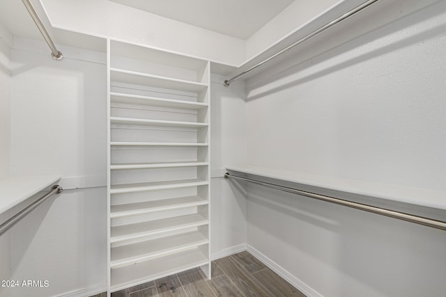 spacious closet featuring dark wood-type flooring