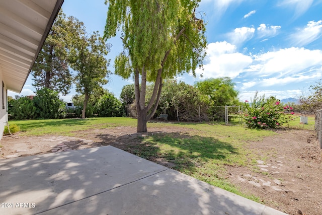 view of yard featuring a patio