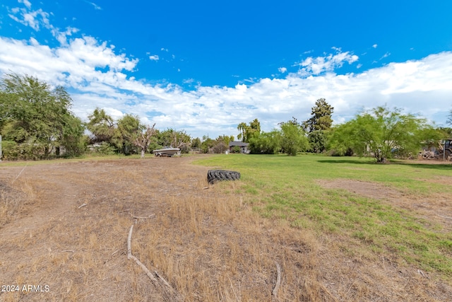 view of yard featuring a rural view