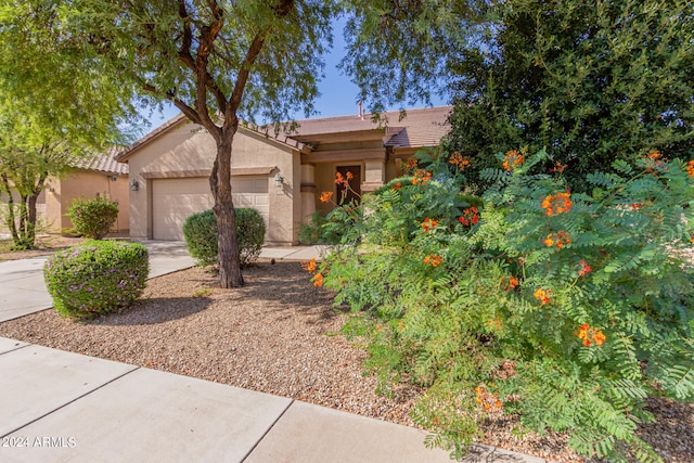 view of front of property with a garage