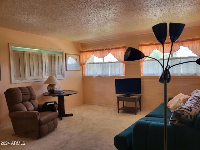 carpeted living room featuring a textured ceiling