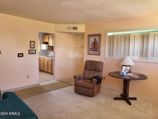 sitting room featuring light carpet and a textured ceiling