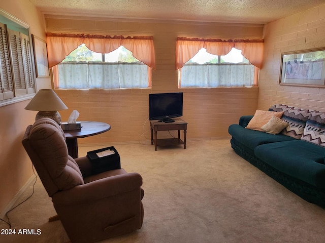 carpeted living room with a textured ceiling