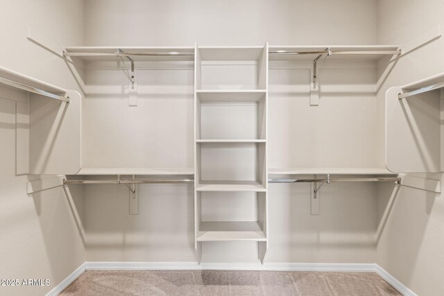 3072 E Appaloosa Rd, Gilbert, AZ 85296 - walk in closet with carpet floors