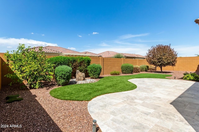 view of yard featuring a patio area and a fenced backyard