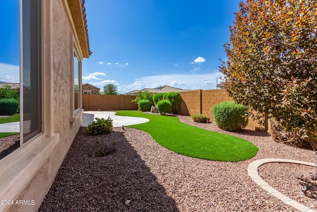 view of yard featuring a patio area