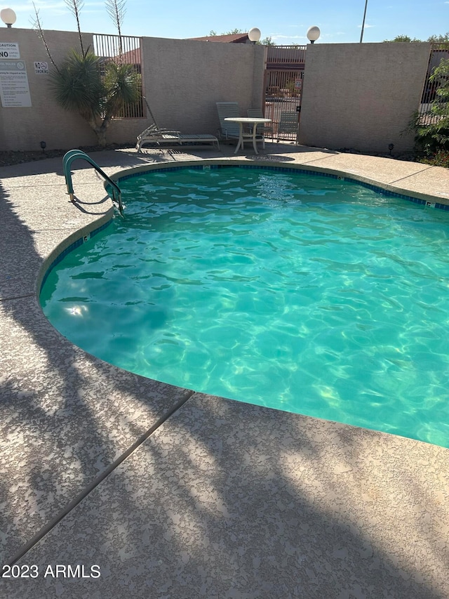 view of swimming pool