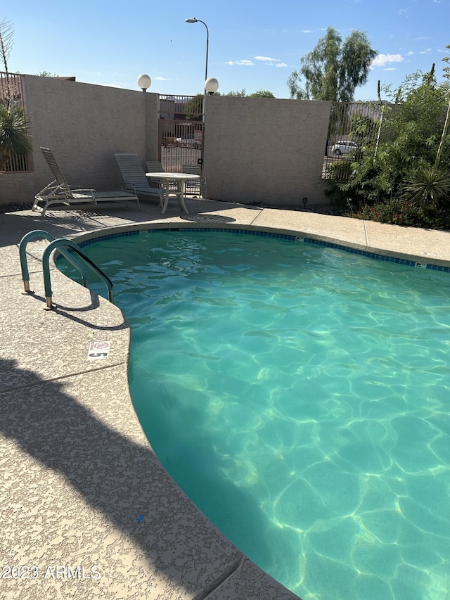 view of pool featuring a patio