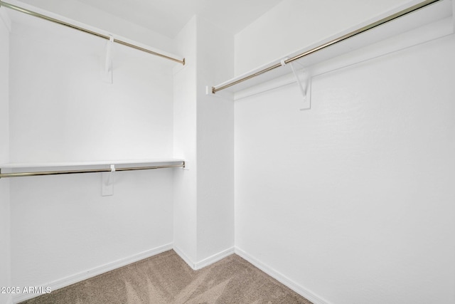 spacious closet with carpet flooring