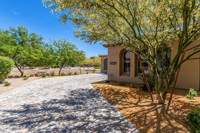 view of patio / terrace featuring decorative driveway