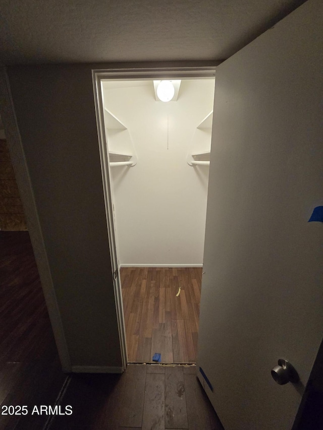 spacious closet featuring wood finished floors