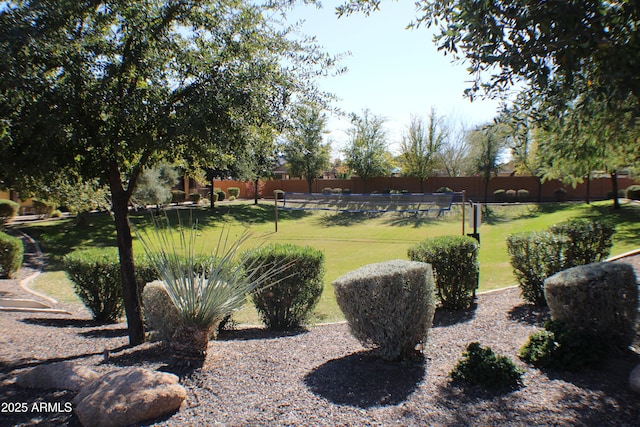 view of property's community featuring a lawn