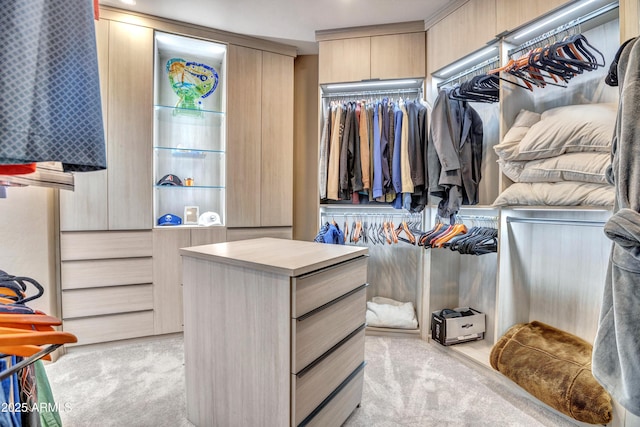walk in closet with light colored carpet