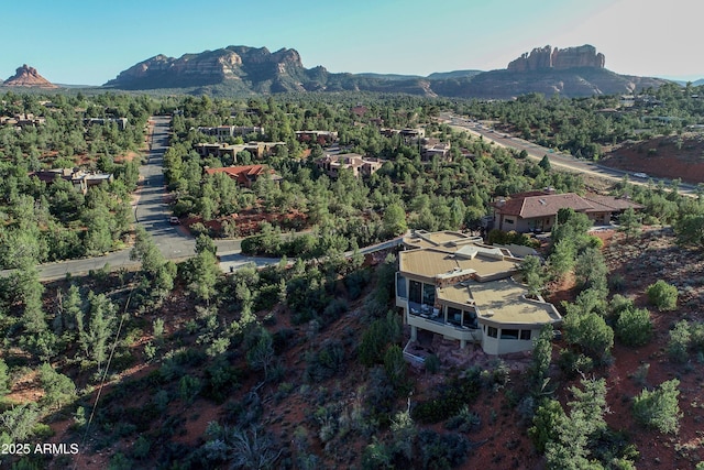 drone / aerial view featuring a mountain view