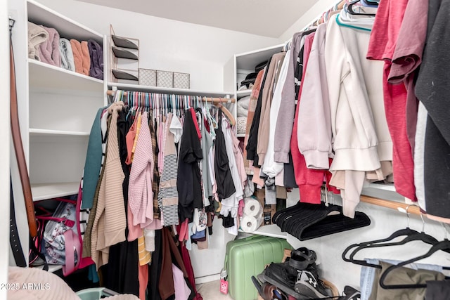 view of walk in closet