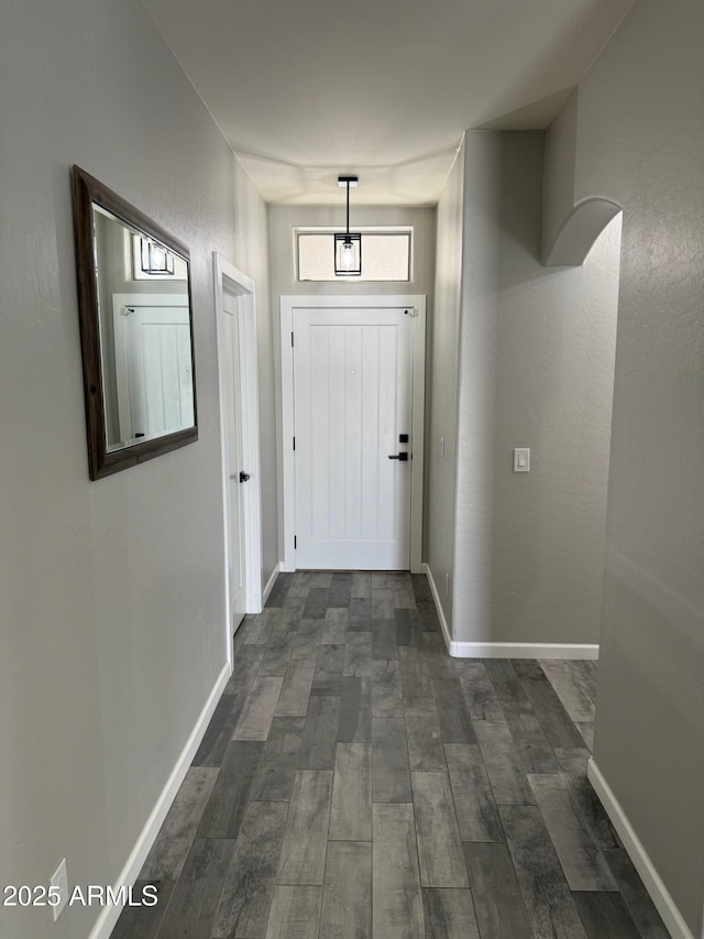 entryway featuring dark hardwood / wood-style flooring