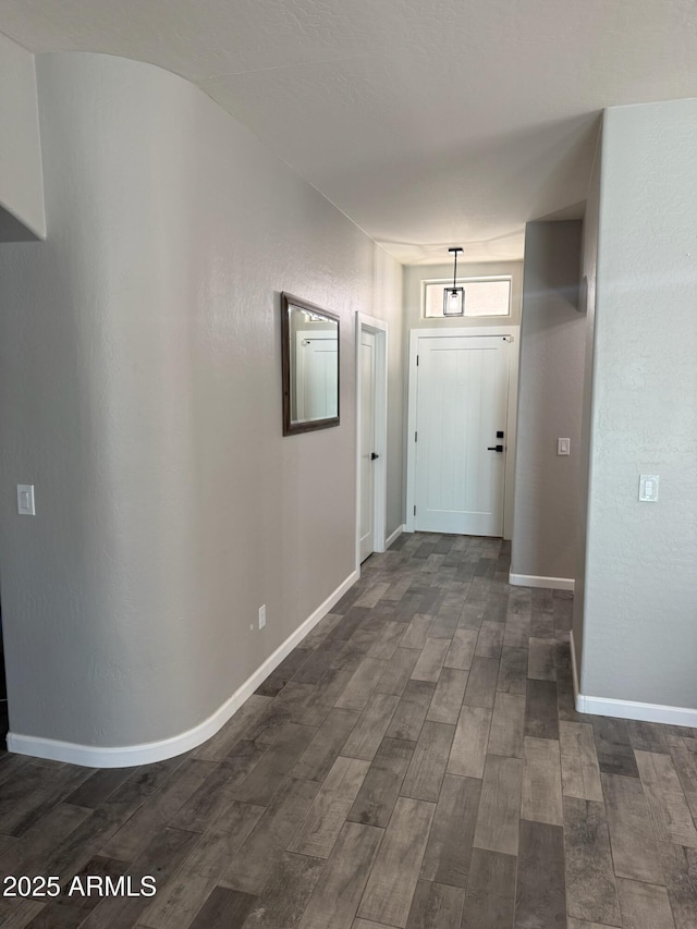 foyer entrance featuring dark hardwood / wood-style flooring