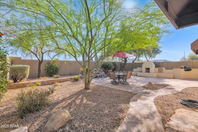 view of yard with area for grilling, a patio area, and an outdoor fireplace