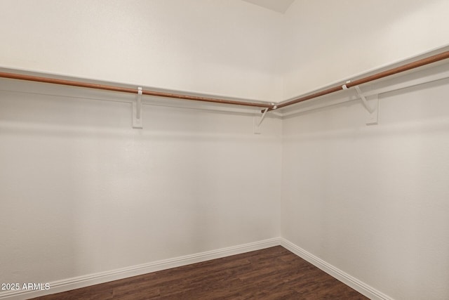 19812 N 90th Dr, Peoria, AZ 85382 - spacious closet with dark wood-type flooring