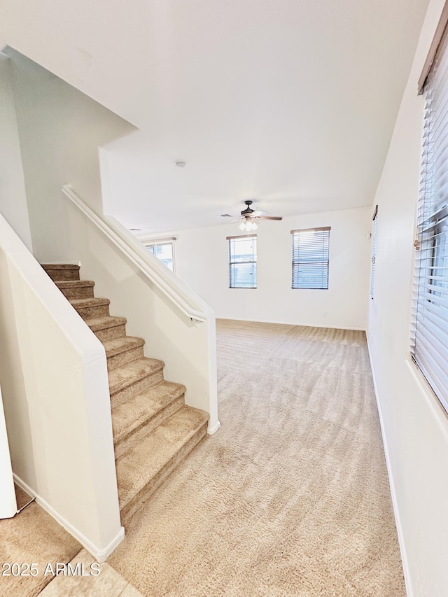 stairs with ceiling fan and carpet floors