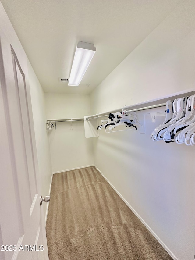 walk in closet featuring carpet floors