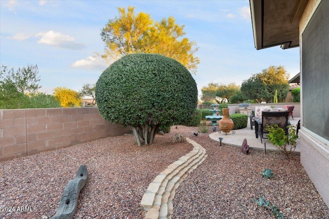 view of yard featuring a patio area