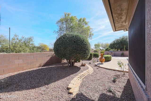 view of yard with a patio area and an outdoor kitchen