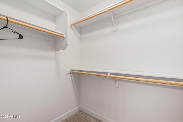 1100 N Priest Dr Unit 2145, Chandler, AZ 85226 - spacious closet with carpet floors