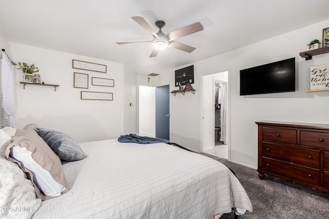 bedroom featuring a walk in closet, carpet, and ceiling fan