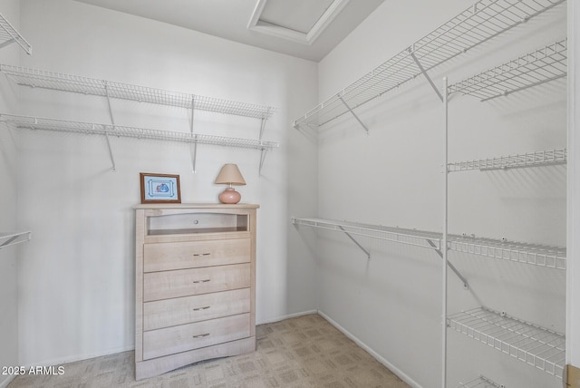 walk in closet featuring attic access and light carpet