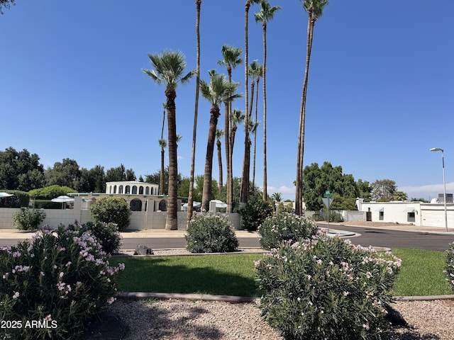 6233 E Pinchot Ave, Scottsdale, AZ 85251 - view of yard