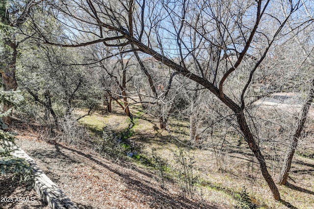 419 Apache Plume Trl, Prescott, AZ 86301 - view of local wilderness featuring a view of trees