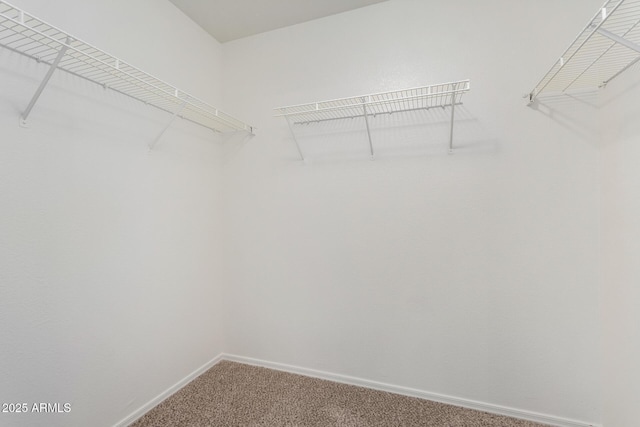 2652 E Riviera Dr, Chandler, AZ 85249 - spacious closet with carpet