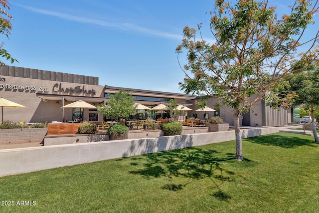 view of yard featuring a patio