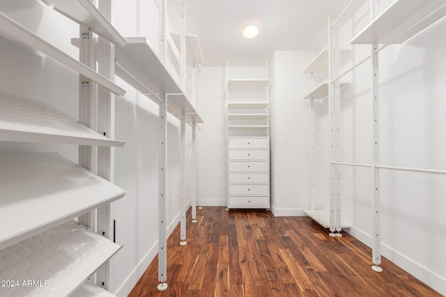 spacious closet featuring dark hardwood / wood-style flooring